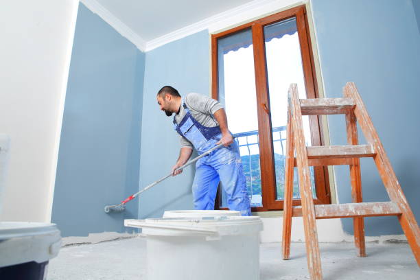 Best Basement Mold Removal  in Lovington, NM