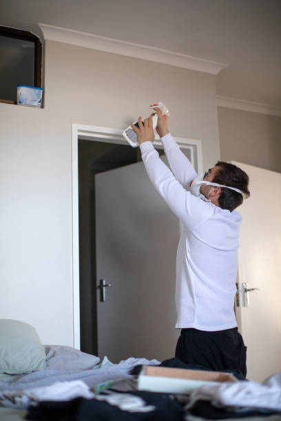Best Attic Mold Removal  in Lovington, NM