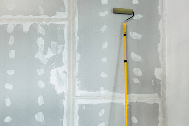 Best Real Estate Mold Inspection  in Lovington, NM