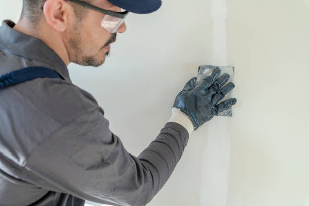 Best HVAC Mold Inspection and Cleaning  in Lovington, NM
