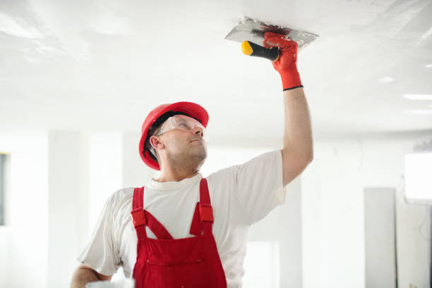 Best Emergency Mold Remediation  in Lovington, NM