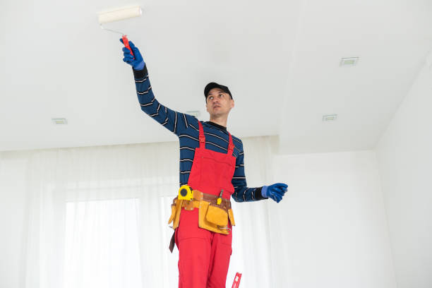 Best Mold Documentation for Insurance Claims  in Lovington, NM