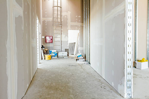 Best Mold Remediation for Healthcare Facilities  in Lovington, NM